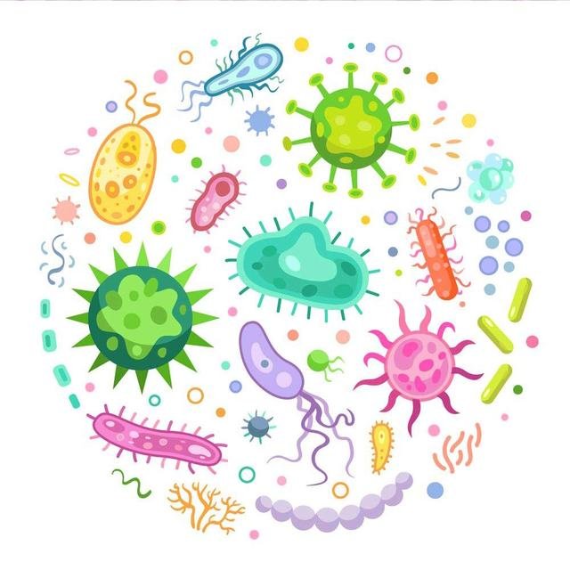 Clinical Microbiology at Sparsha Diagnostics