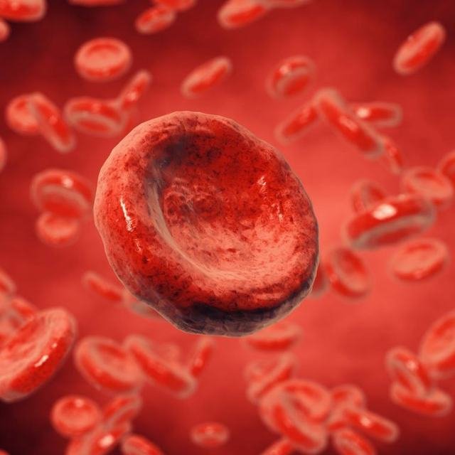 Coagulation at Sparsha Diagnostics