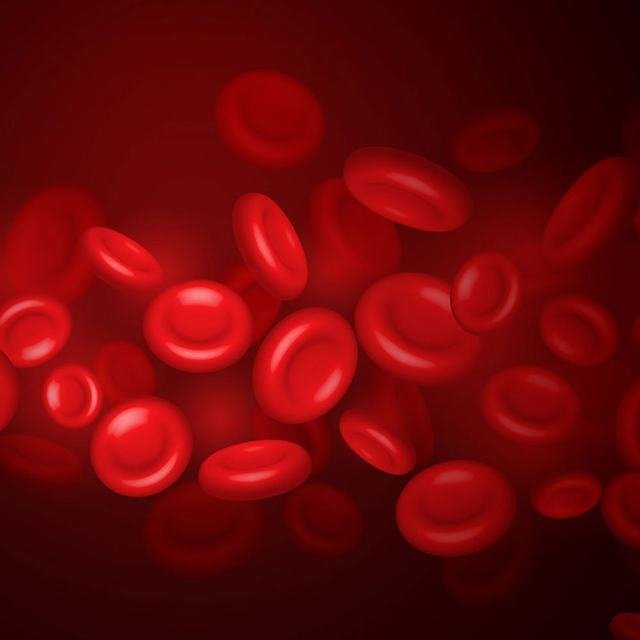 Hematology at Sparsha Diagnostics