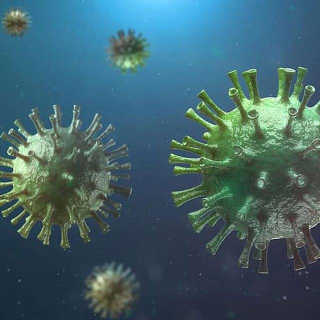 Infectious Disease at Sparsha Diagnostics