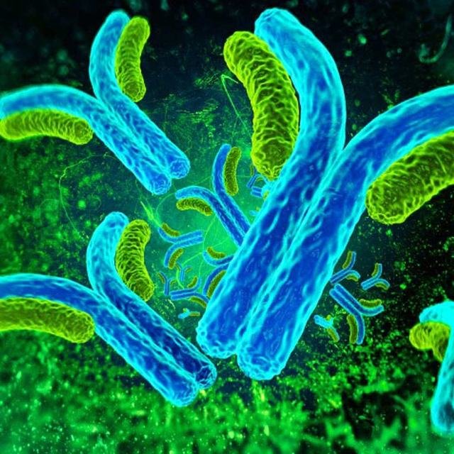Serology at Sparsha Diagnostics